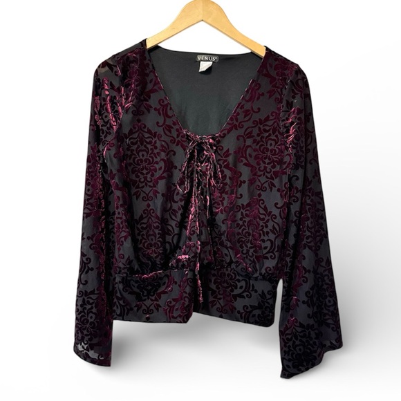 Y2K Velvet Burnout Top Womens Medium Venus Whimsigoth Fairy Sleeves Romantic - Picture 2 of 10